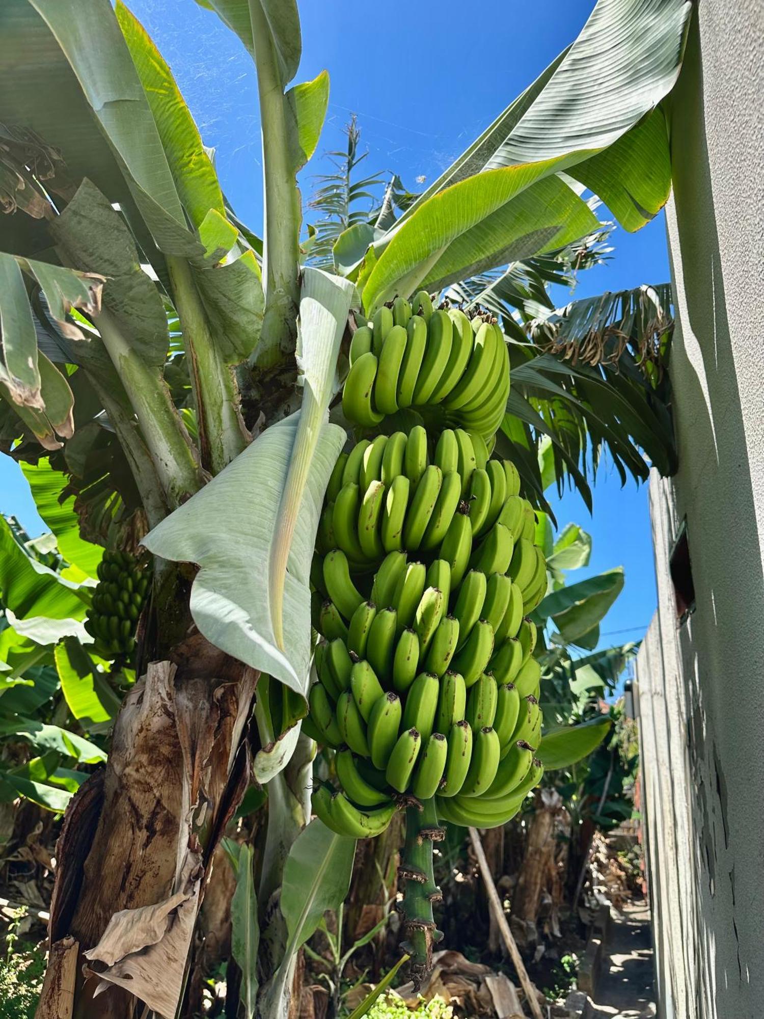 Oasis Suites - Funchal Luaran gambar