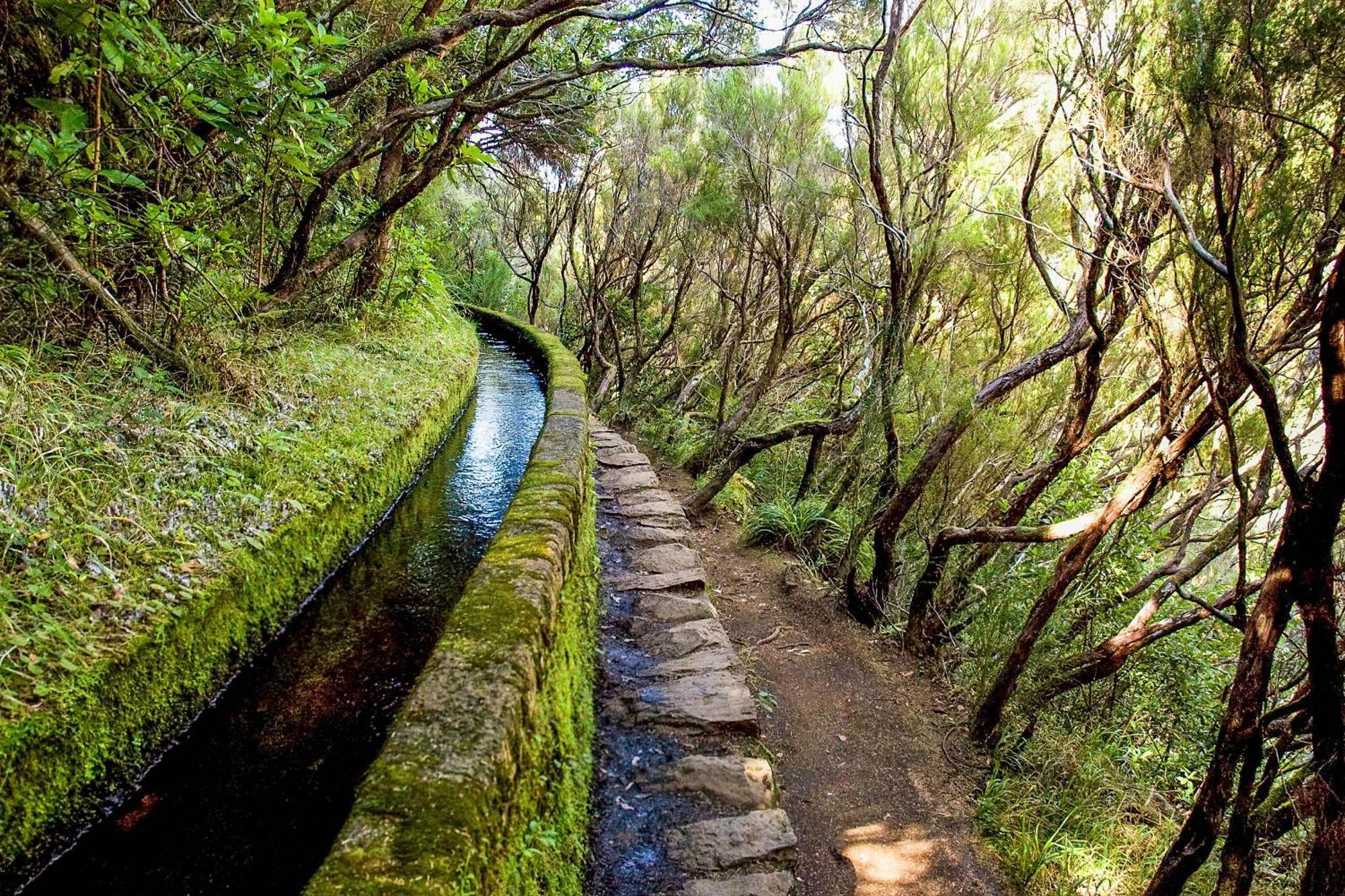 Oasis Suites - Funchal Luaran gambar
